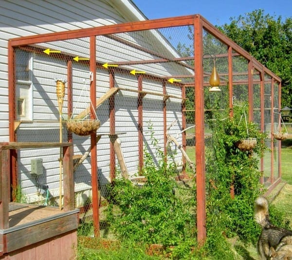 diy-catio