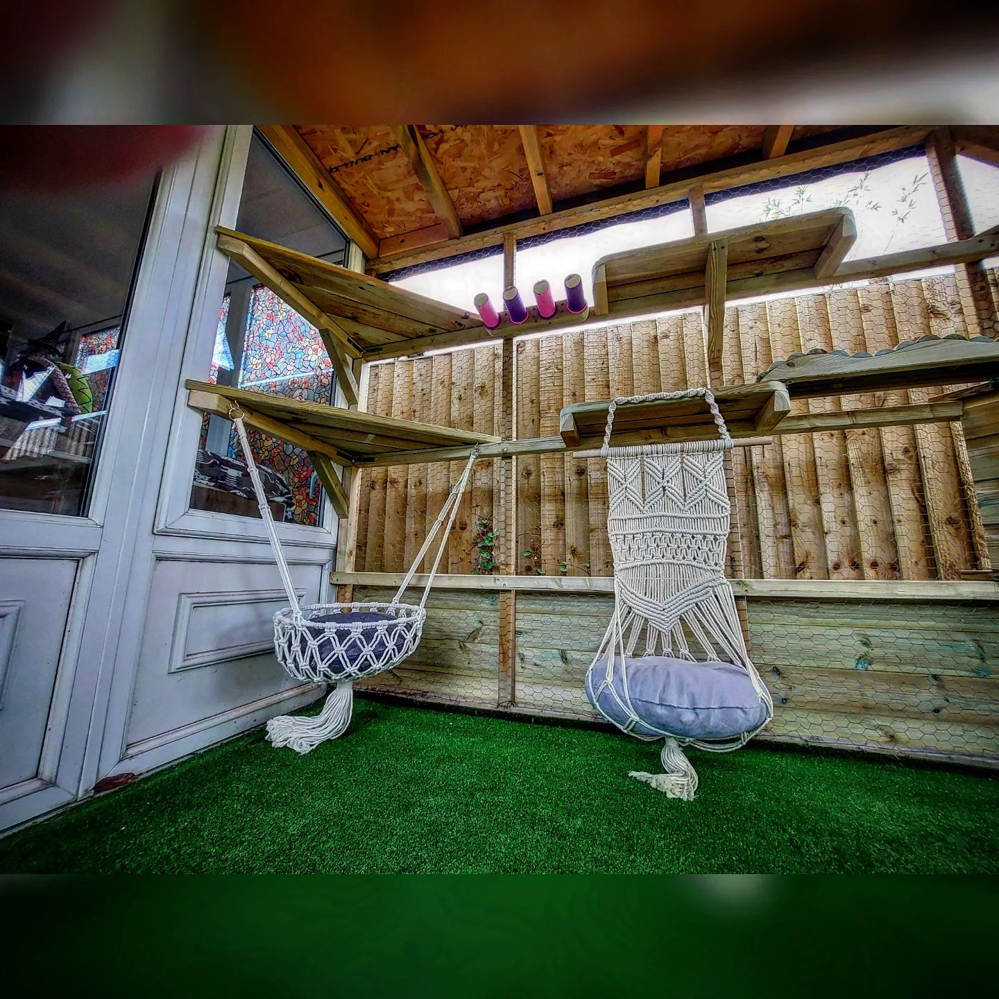 hammock-catio