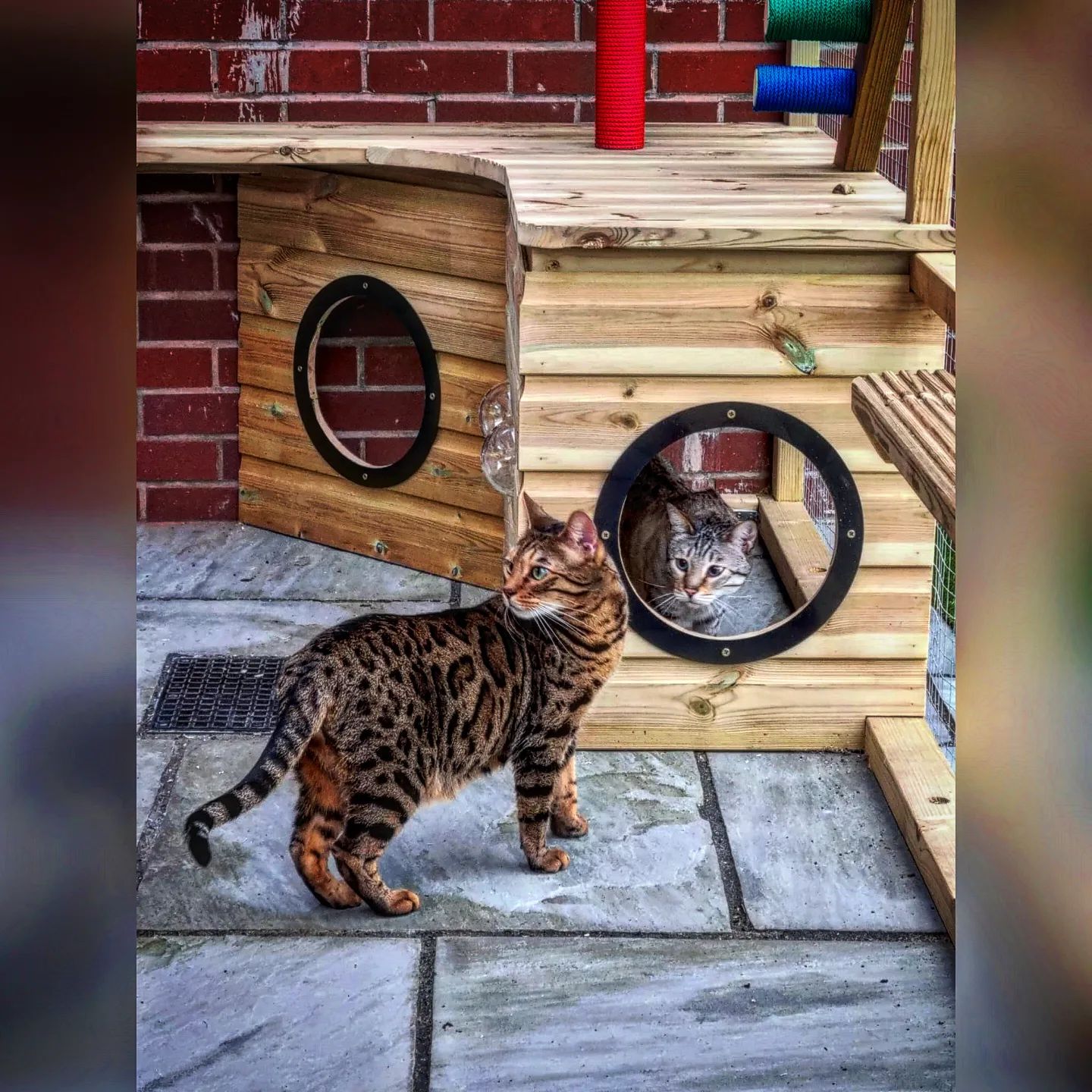 hideaway-catio