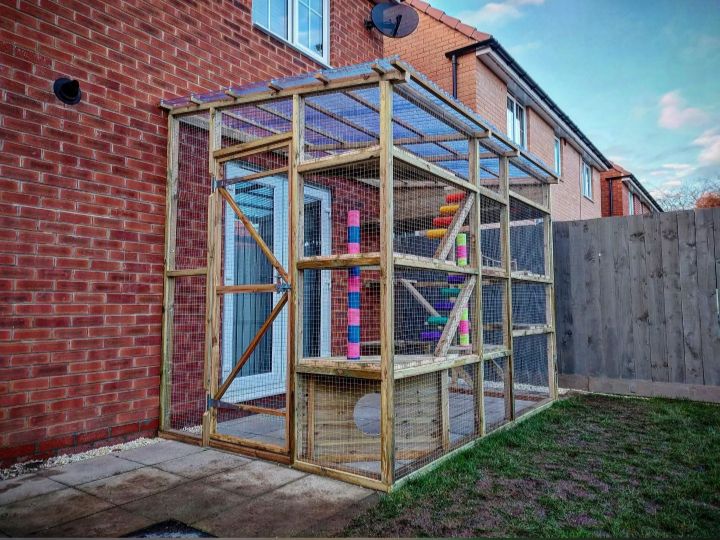 catio-with-playground