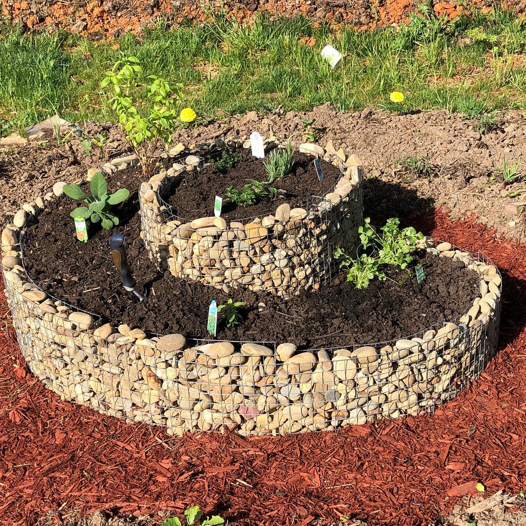 spiral-gabion-planter