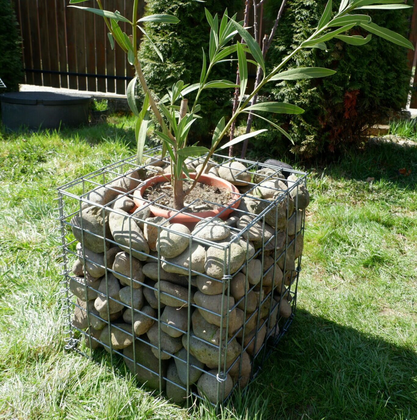 gabion-planter-project