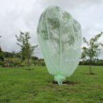 2m x 2m Fruit Tree Net Cover