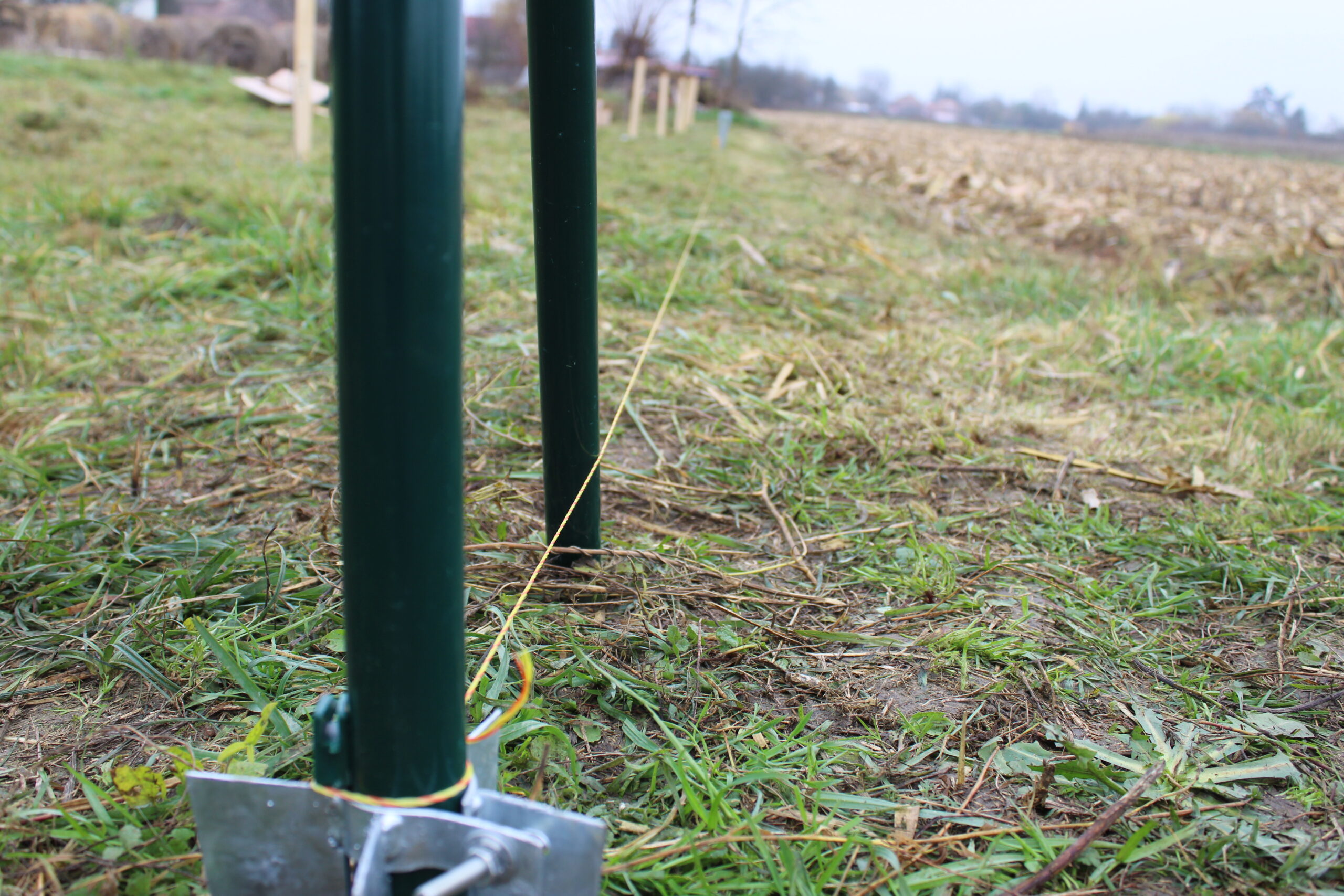 colourful-string-to-mark-fence-run