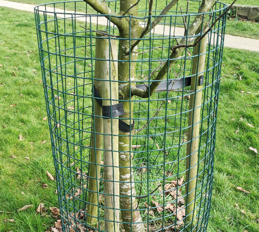 Tree Guard