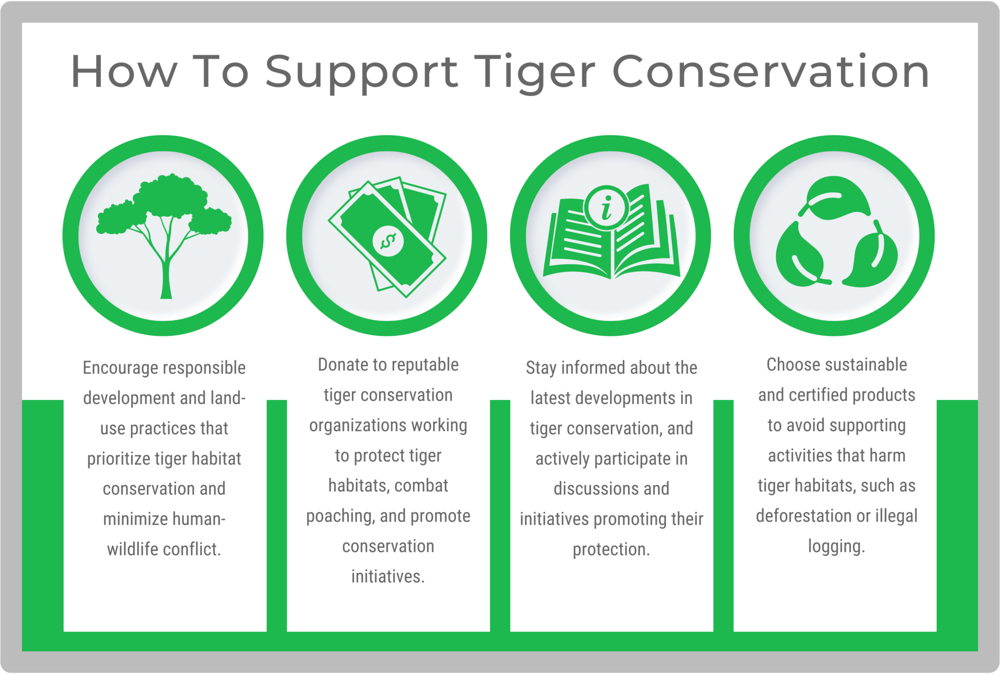 International Tiger Day - Facts, Events, and Expert Insights | Wire Fence