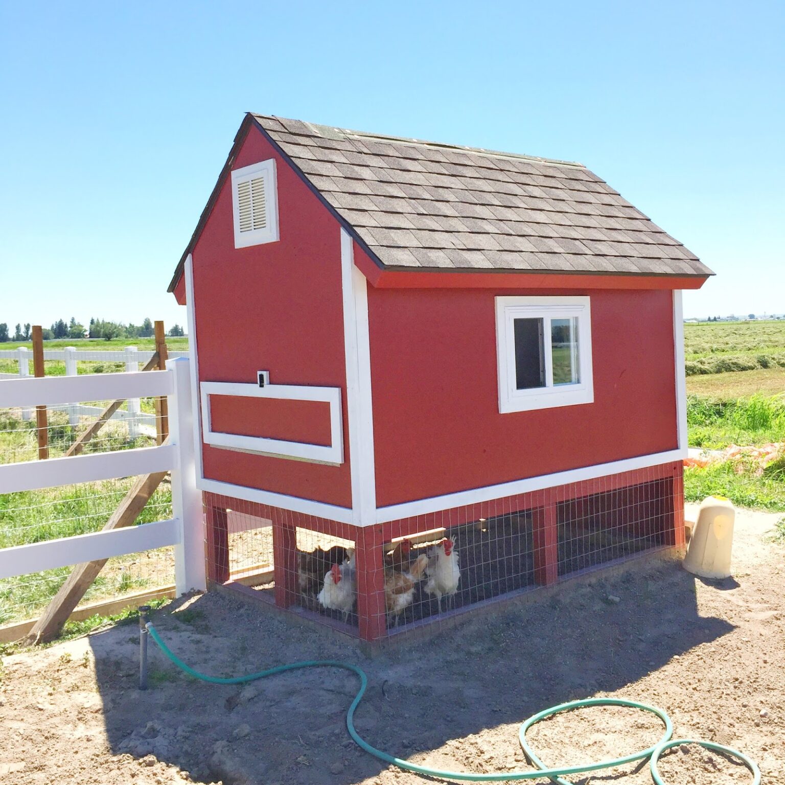 red-pallet-coop