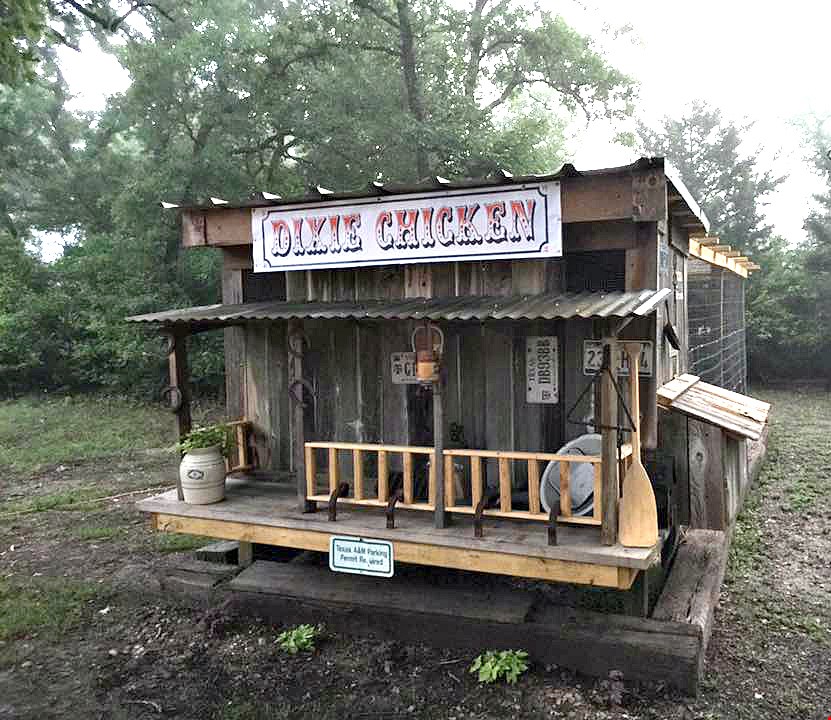 chicken-saloon