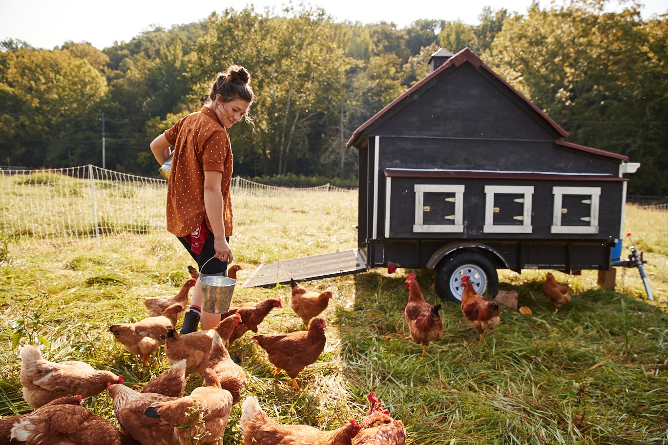 mobile-chicken-coop