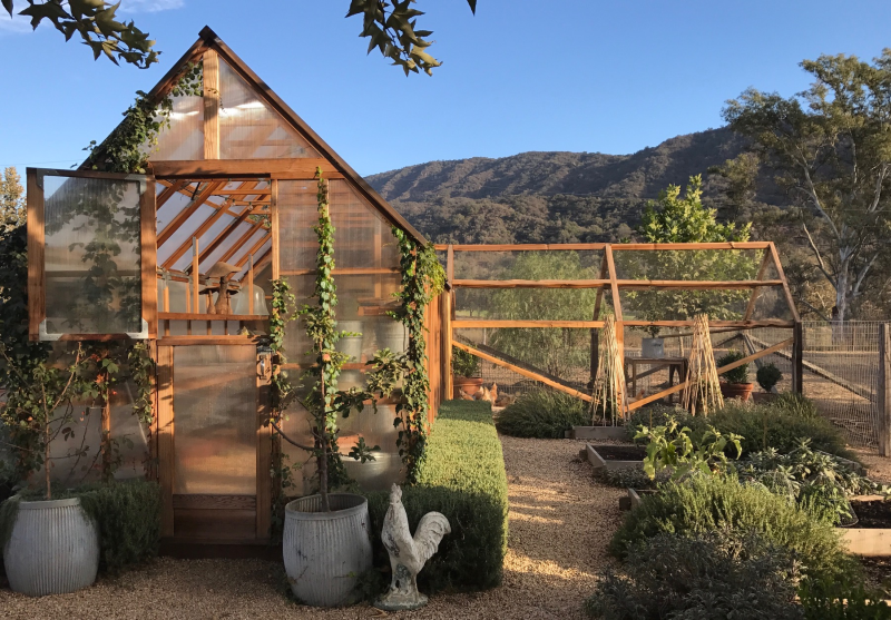 greenhouse-chicken-coop