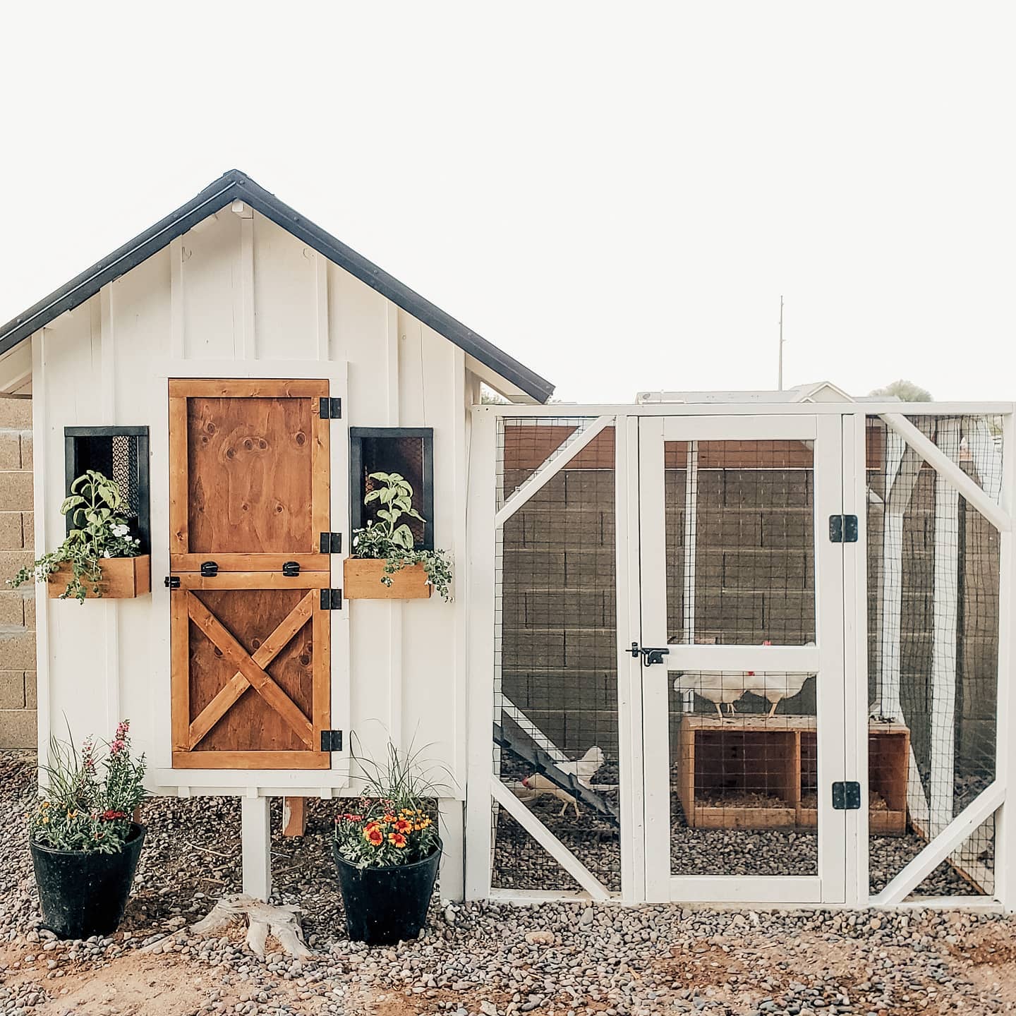 cozy-chicken-coop