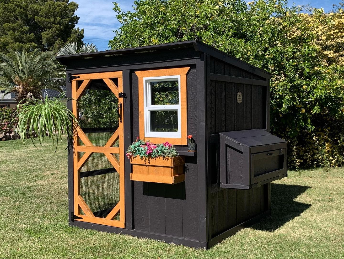 black-chicken-coop