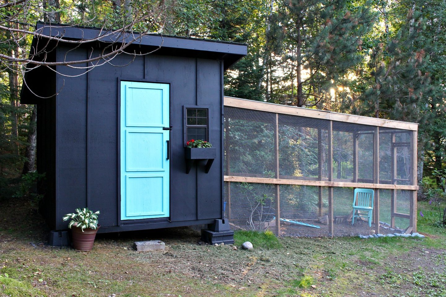 modern-chicken-coop