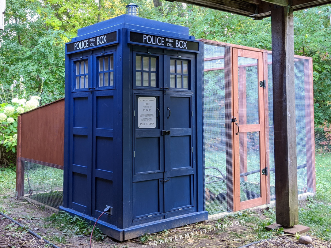 dr-who-chicken-coop