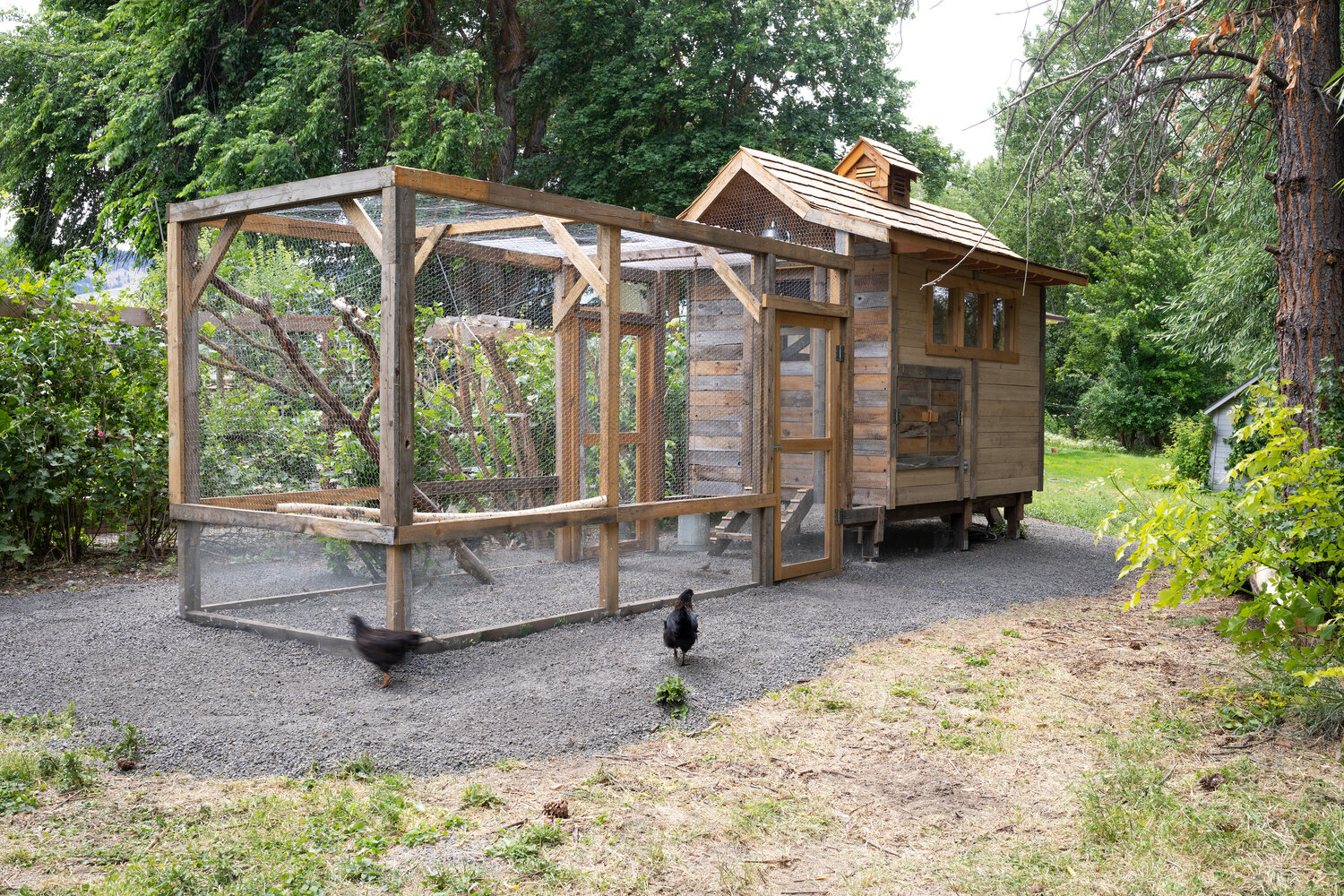 reclaimed-wood-coop