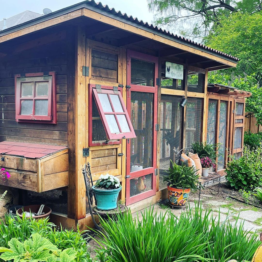 rustic-chicken-coop