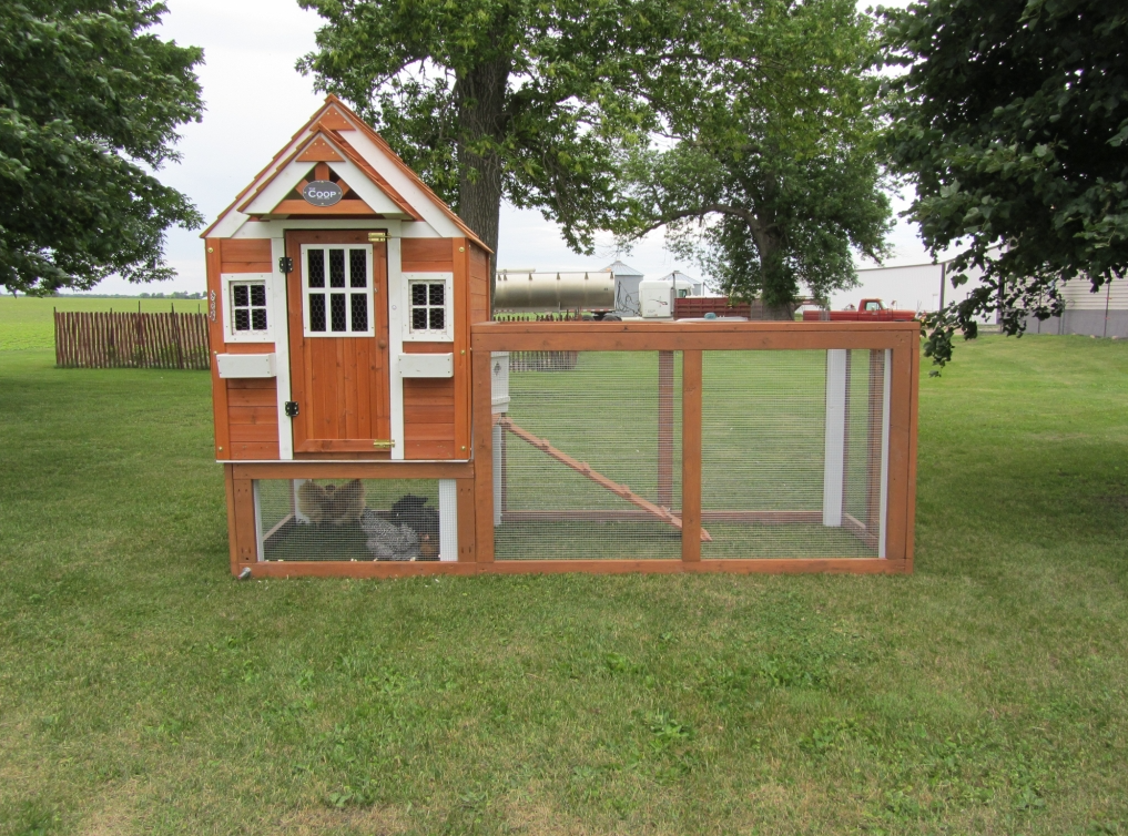 playhouse-chicken-coop