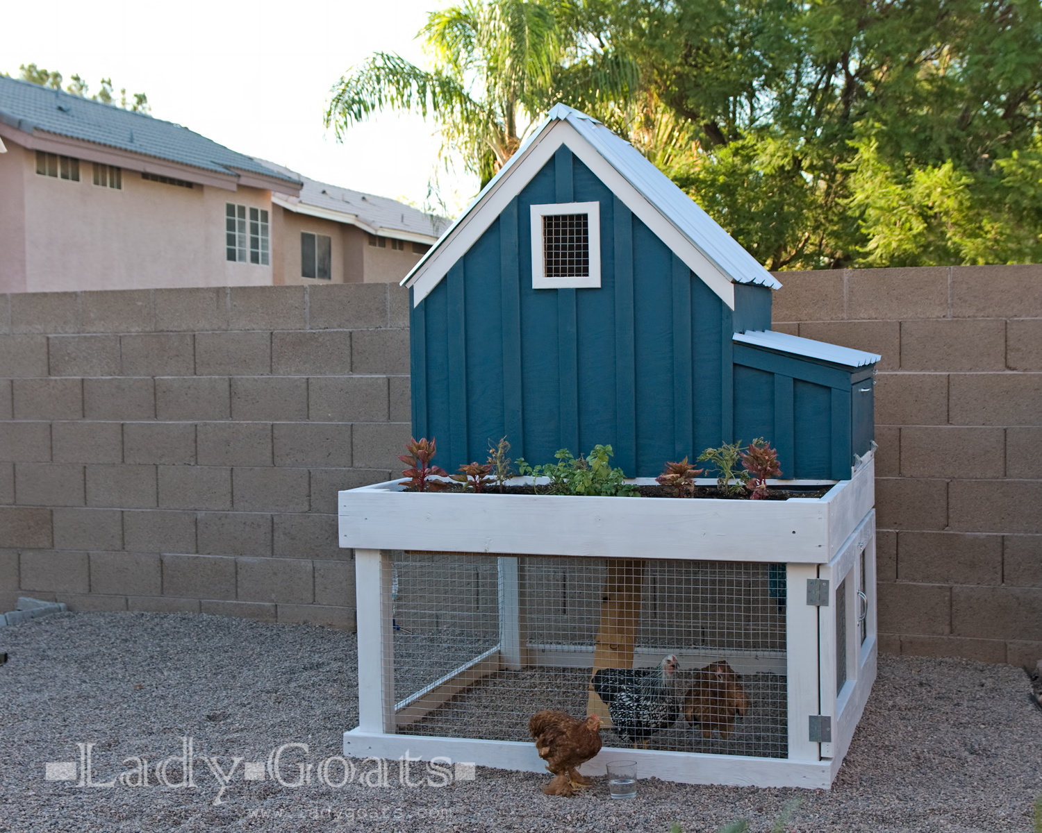 garden-coop