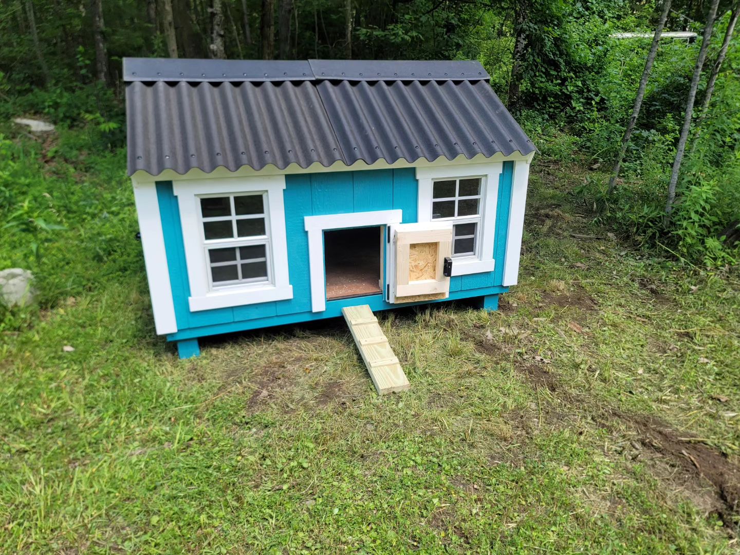 small-chicken-coop