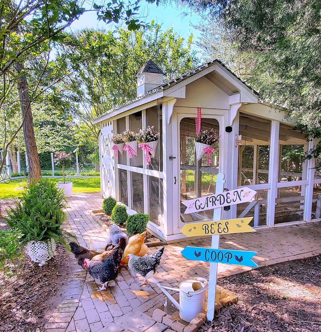 cute-chicken-coop