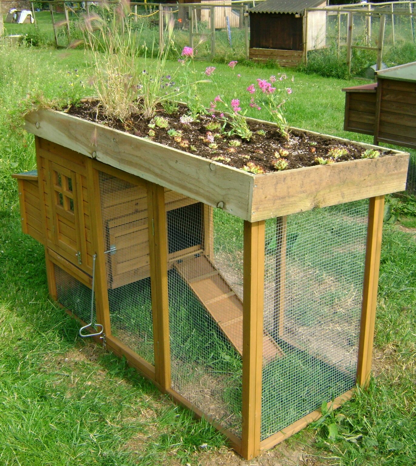 small-chicken-coop