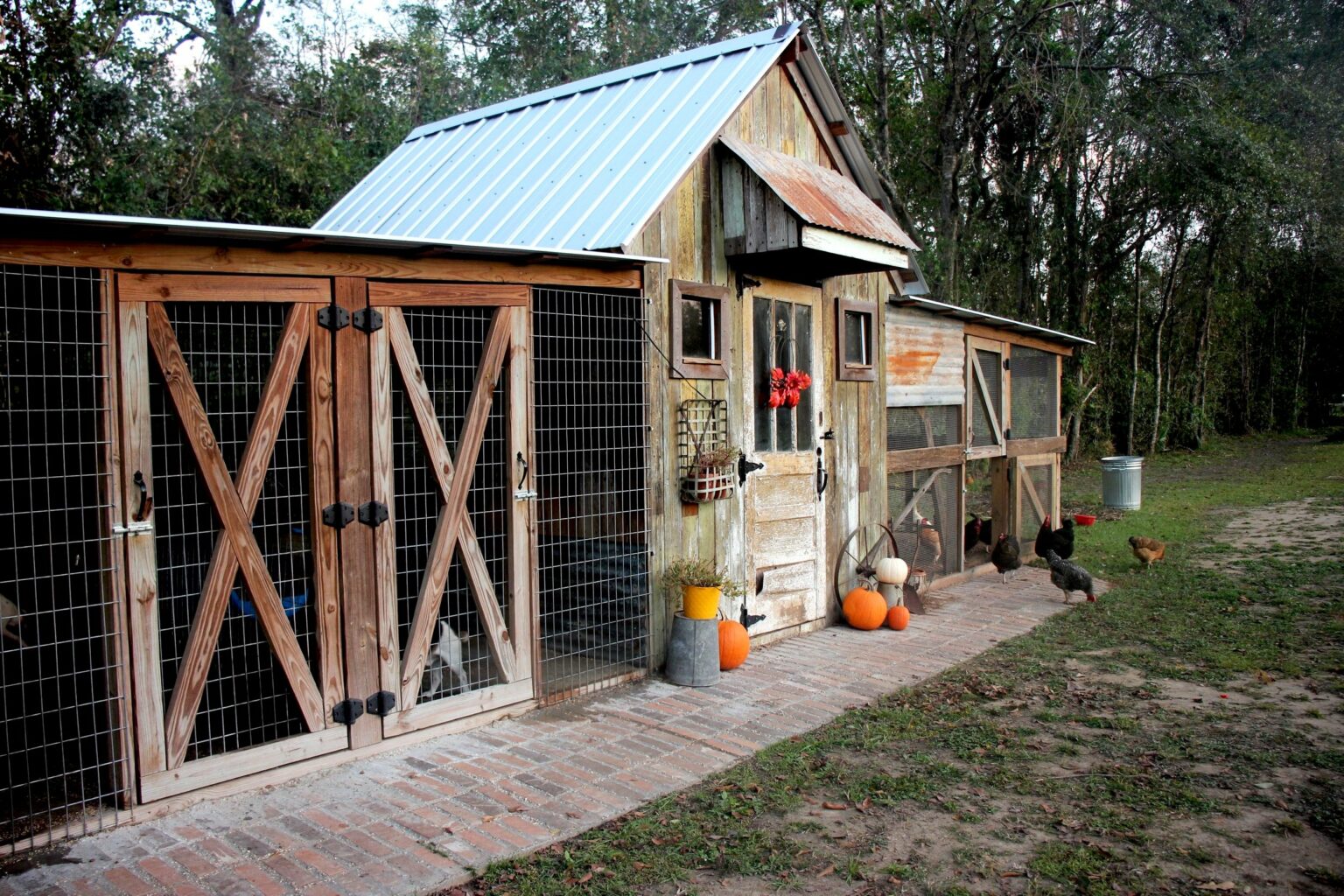 colourful-wood-coop