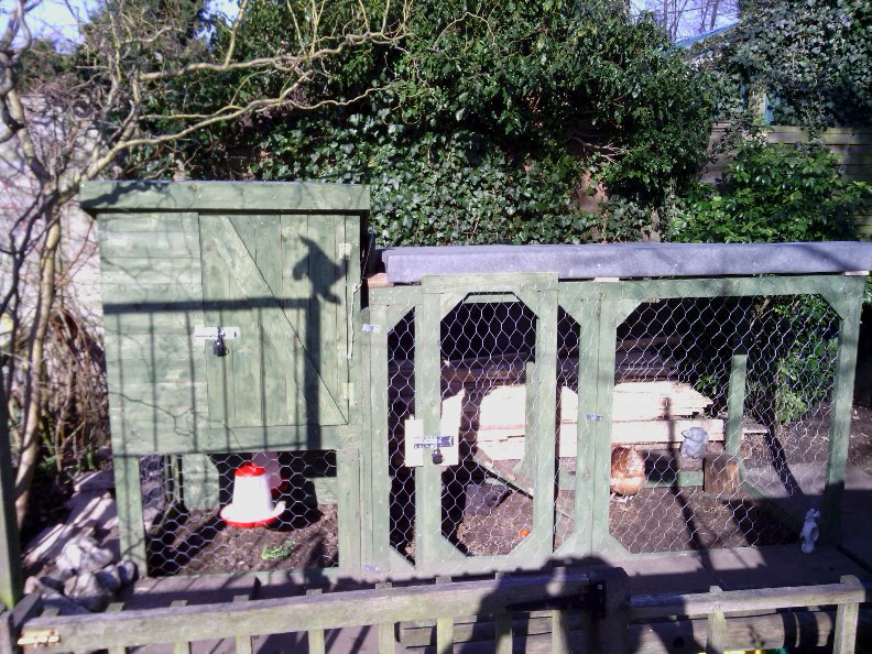 diy-chicken-coop