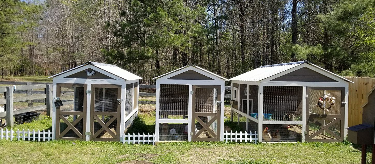 modern-chicken-coops