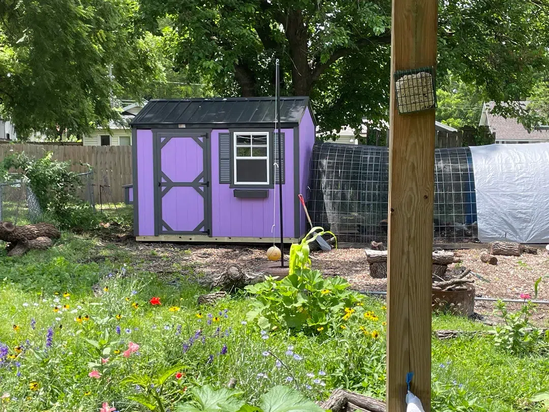 pruple-chicken-coop-and-run