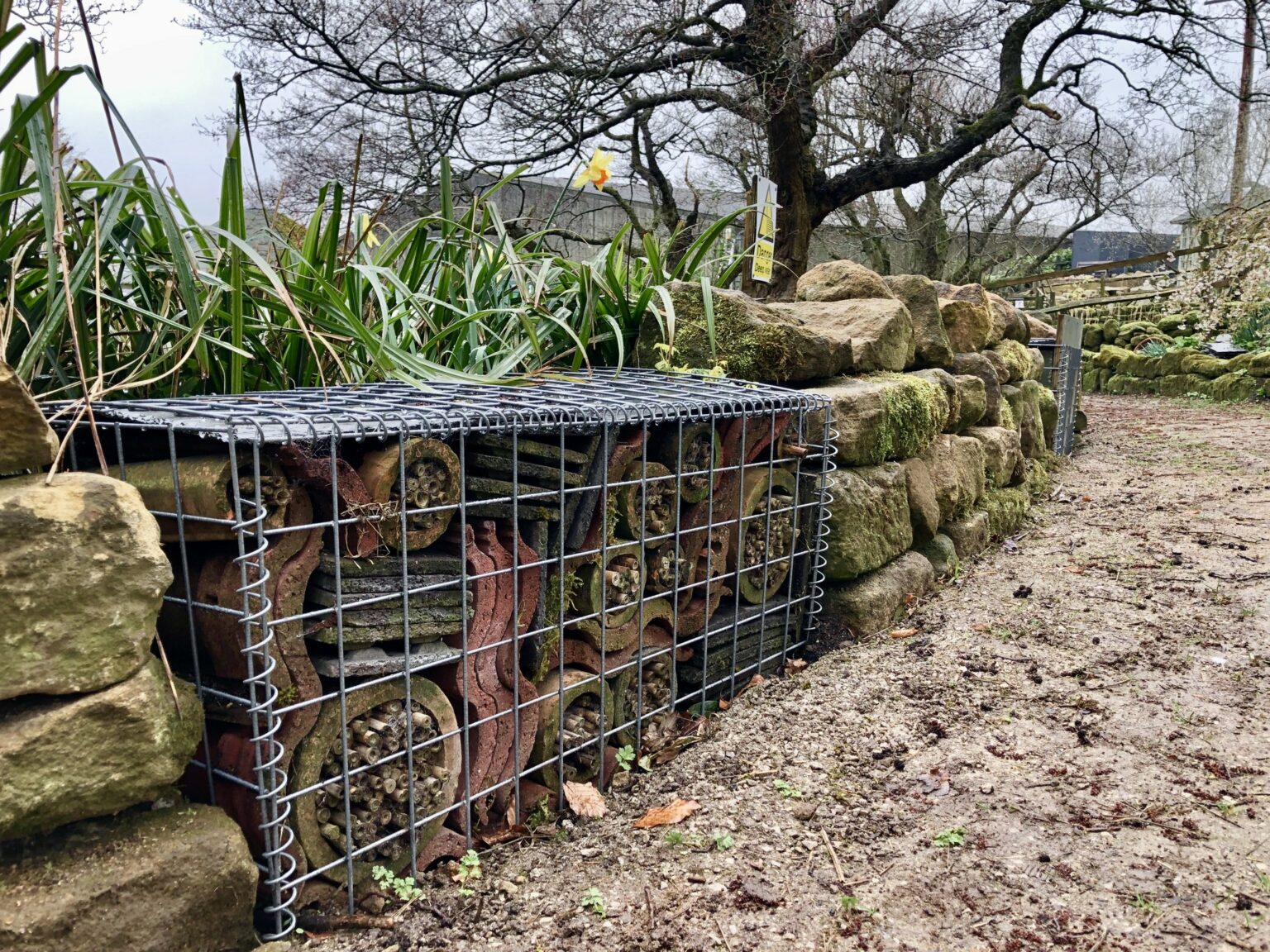 garden-patio-gabion