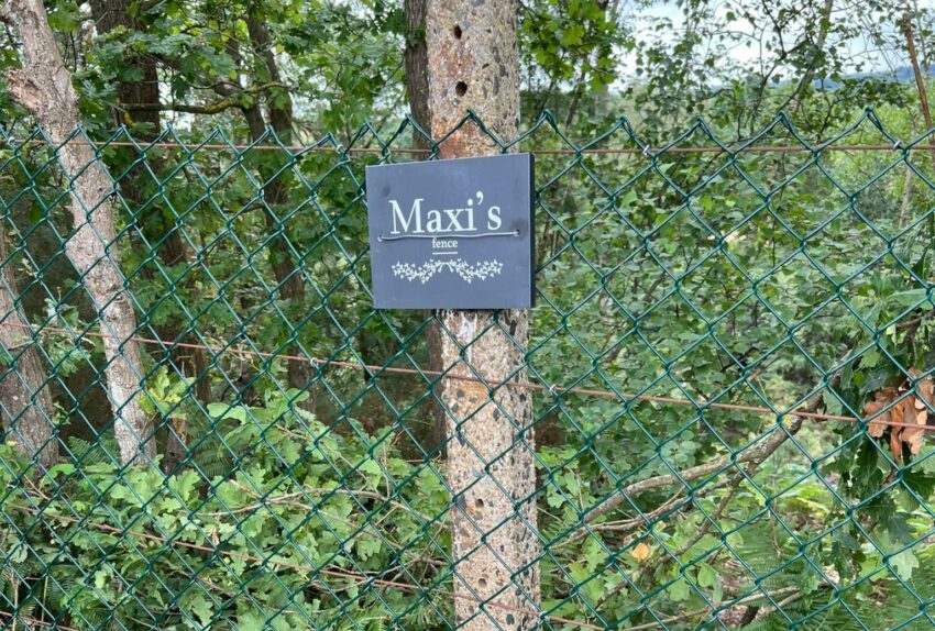 Wire Fence Gives Ash Vale Resident £1,535 Discount to Prevent Dogs From