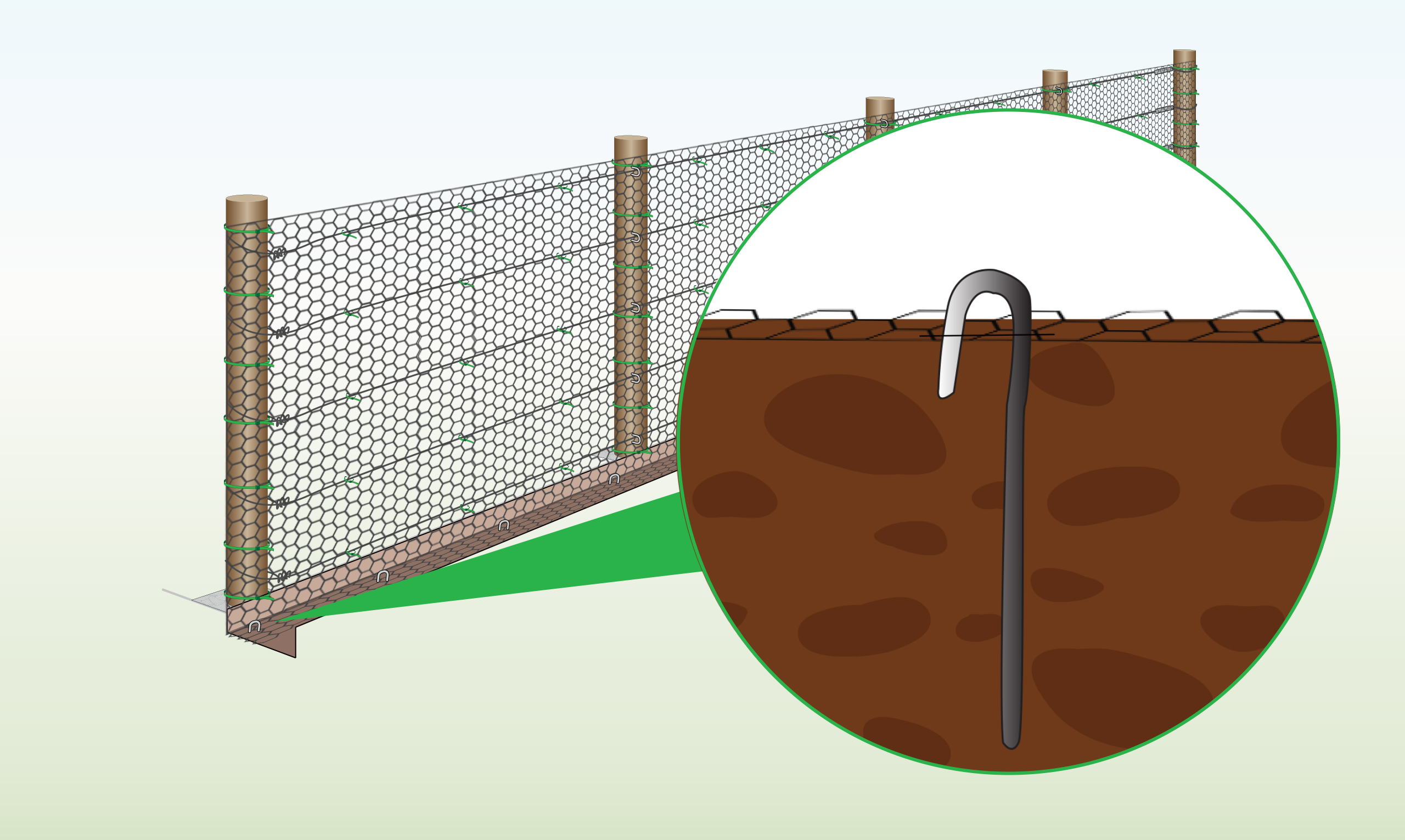 poultry-fencing-step-10