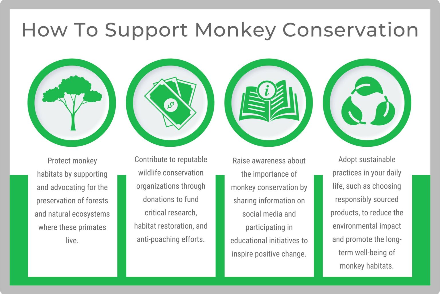 monkey-conservation-tips