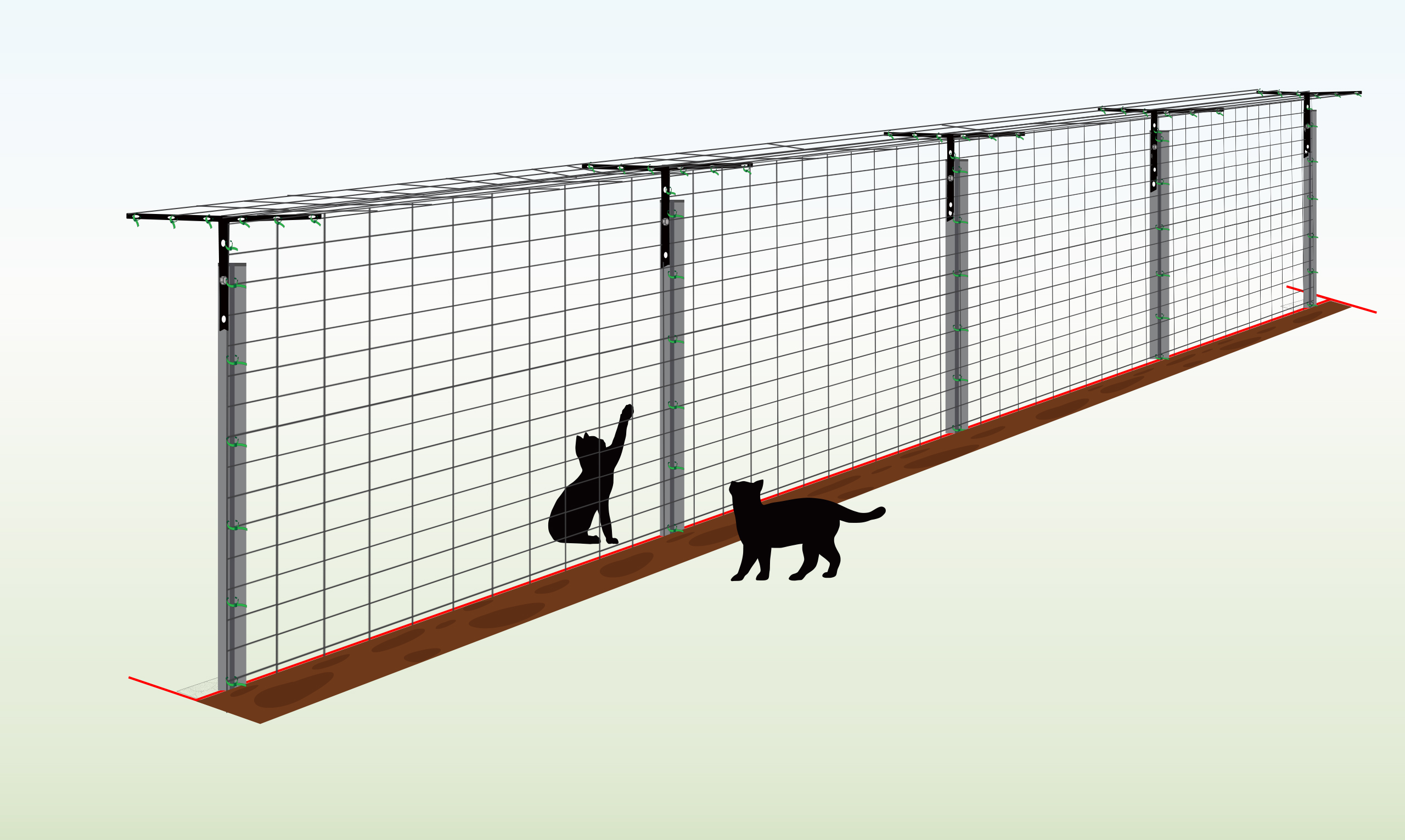 cat-fencing-step21