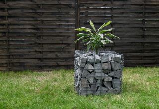 diy-gabion-planter