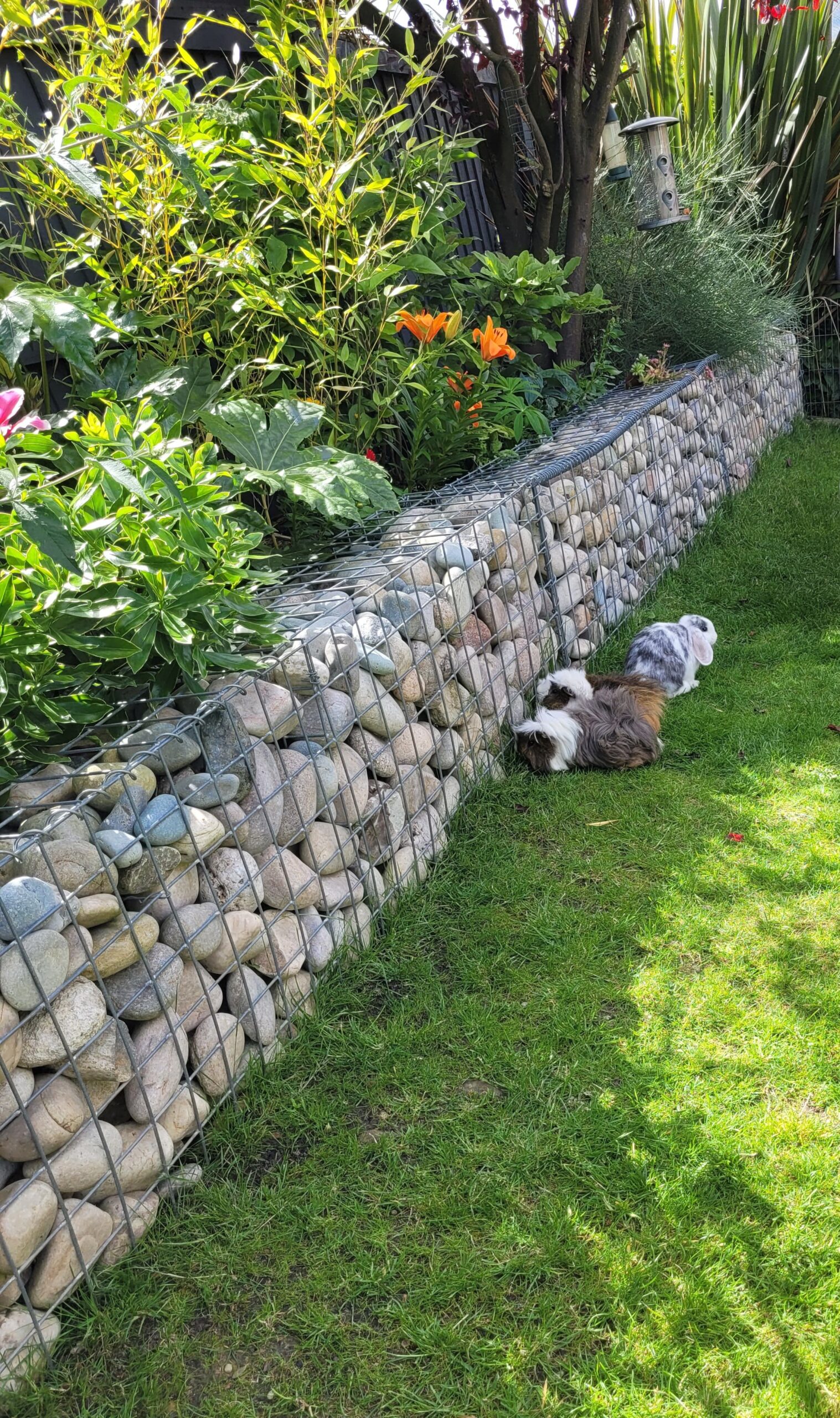 low-garden-planter-gabion-wall