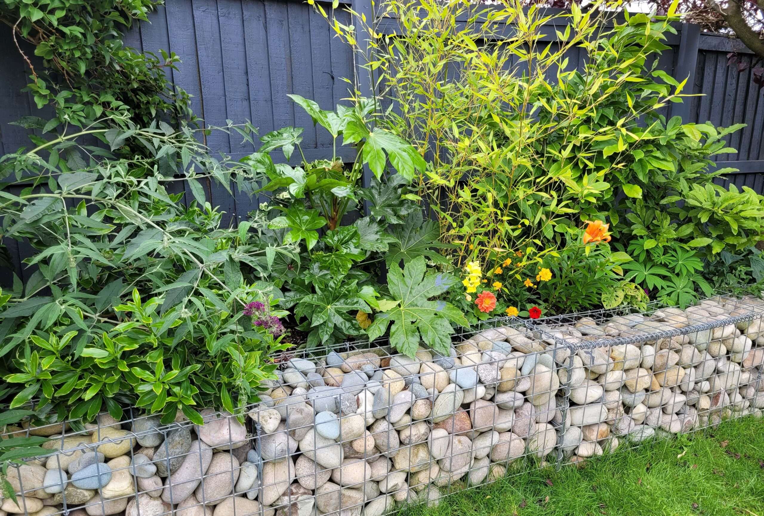 gabion-planter