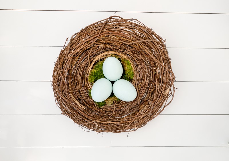 egg-nest-wreath