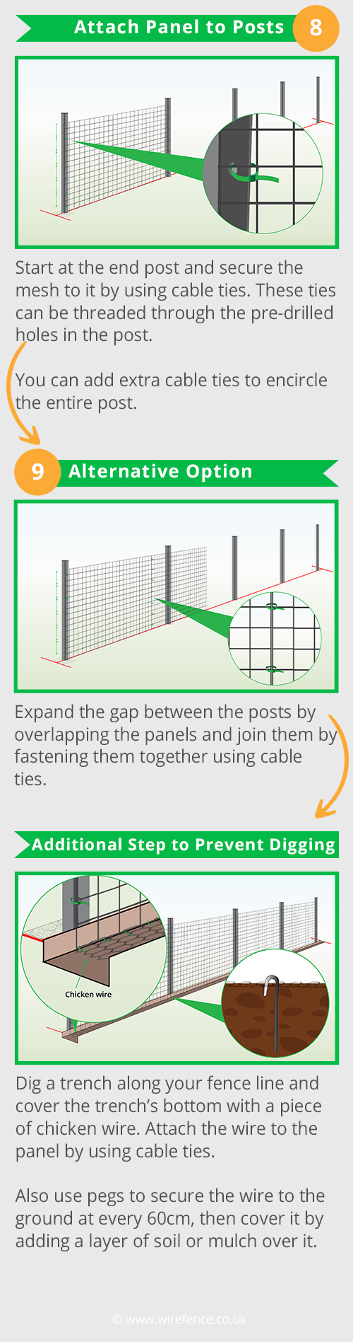 Infographic-PART3-dog-panels