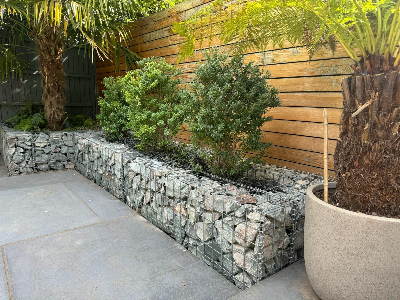 gabions - garden project - retaining wall with greenery