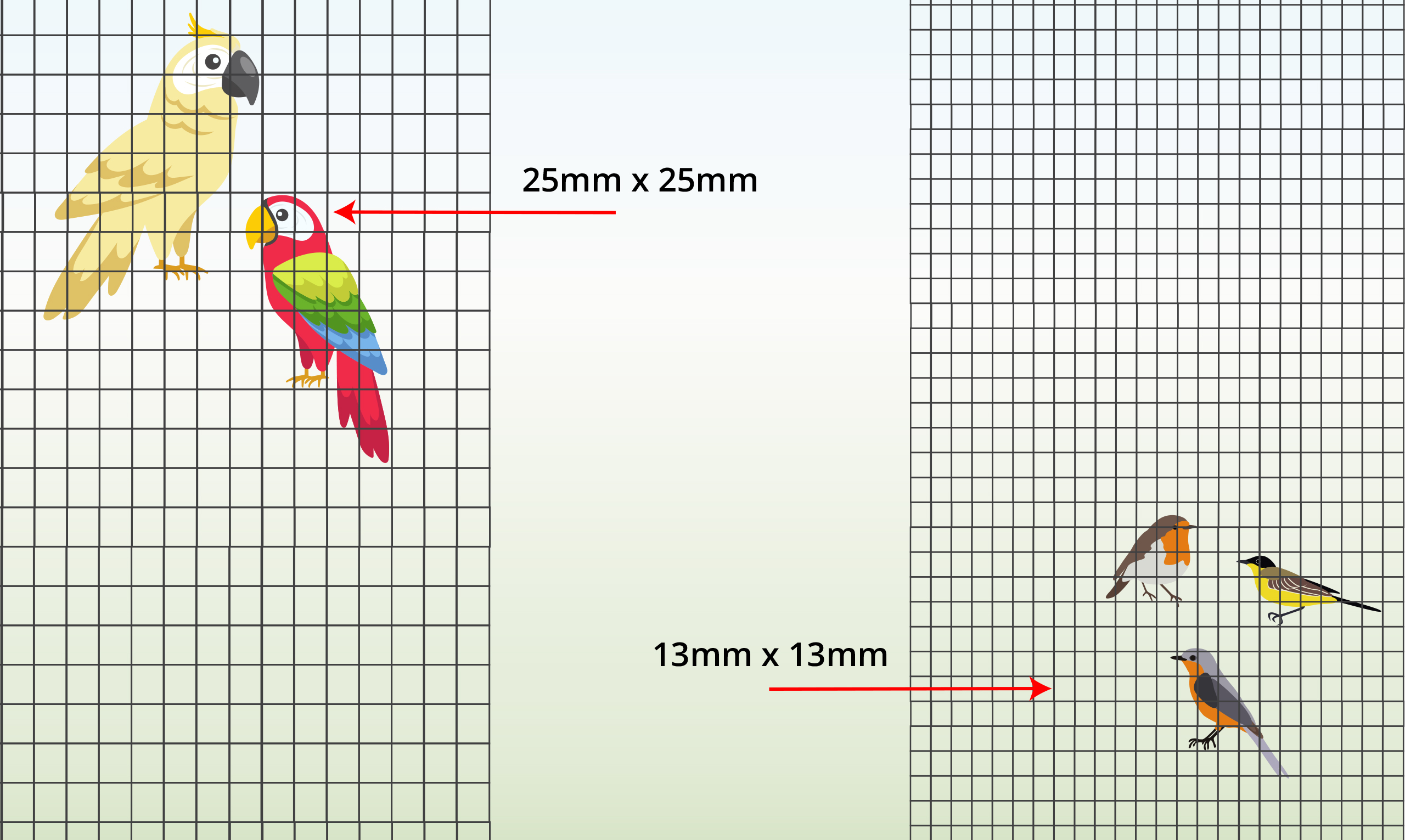 aviary-step2