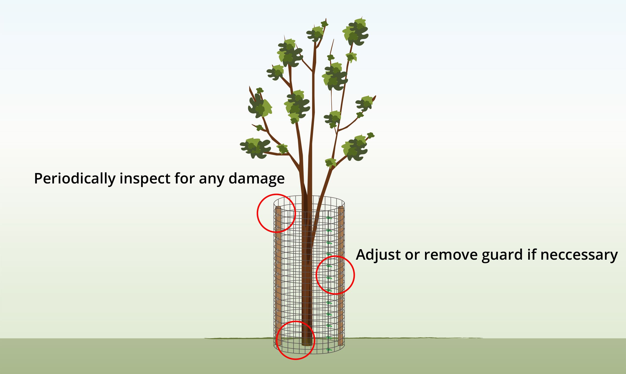 tree-guards---step-9