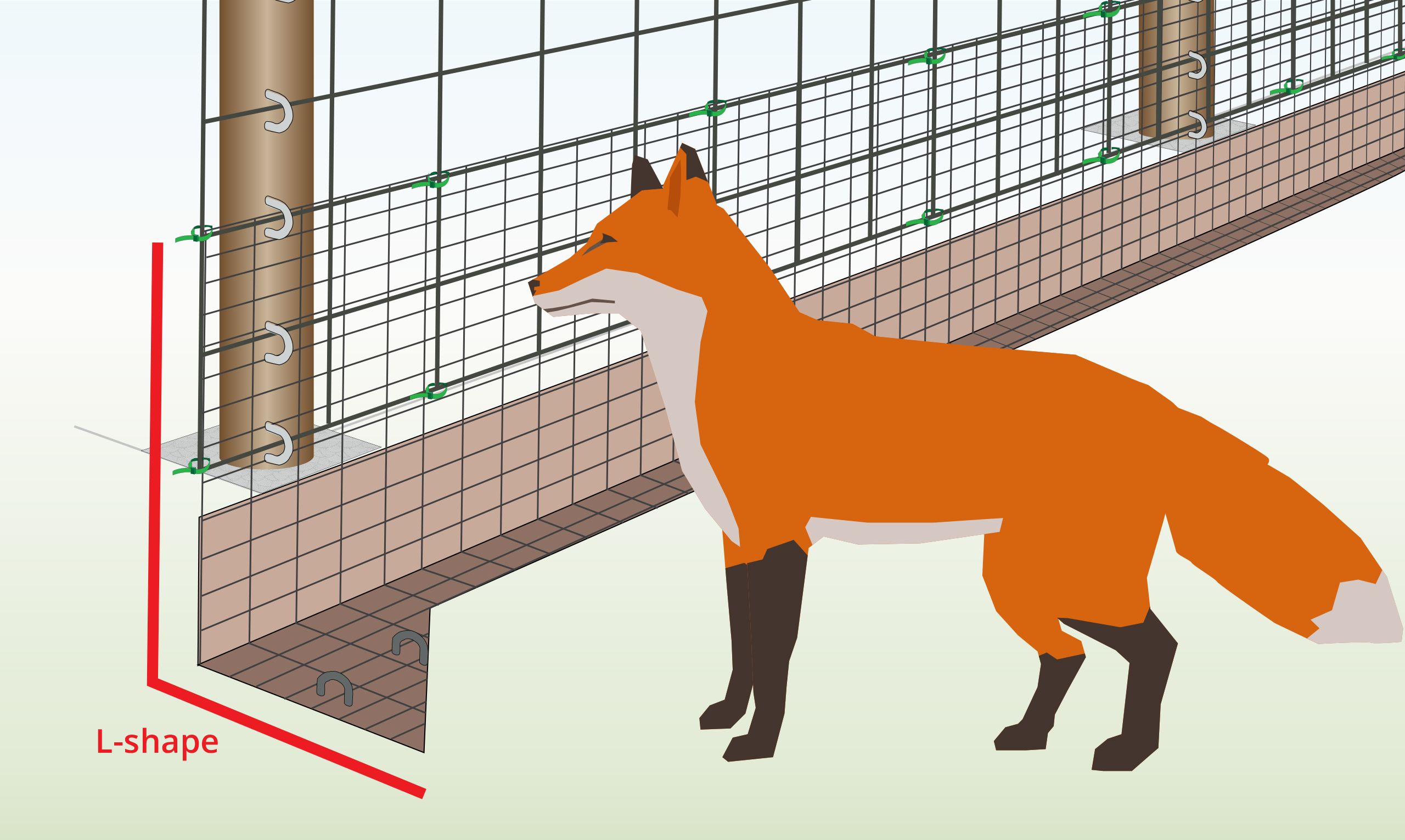 How To Stop Foxes Digging Under A Fence Easy Guide how-to-stop-foxes-digging-under-a-fence-easy-guide