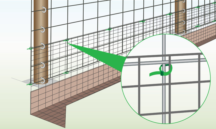 How to Stop Foxes Digging Under a Fence (Easy Guide)
