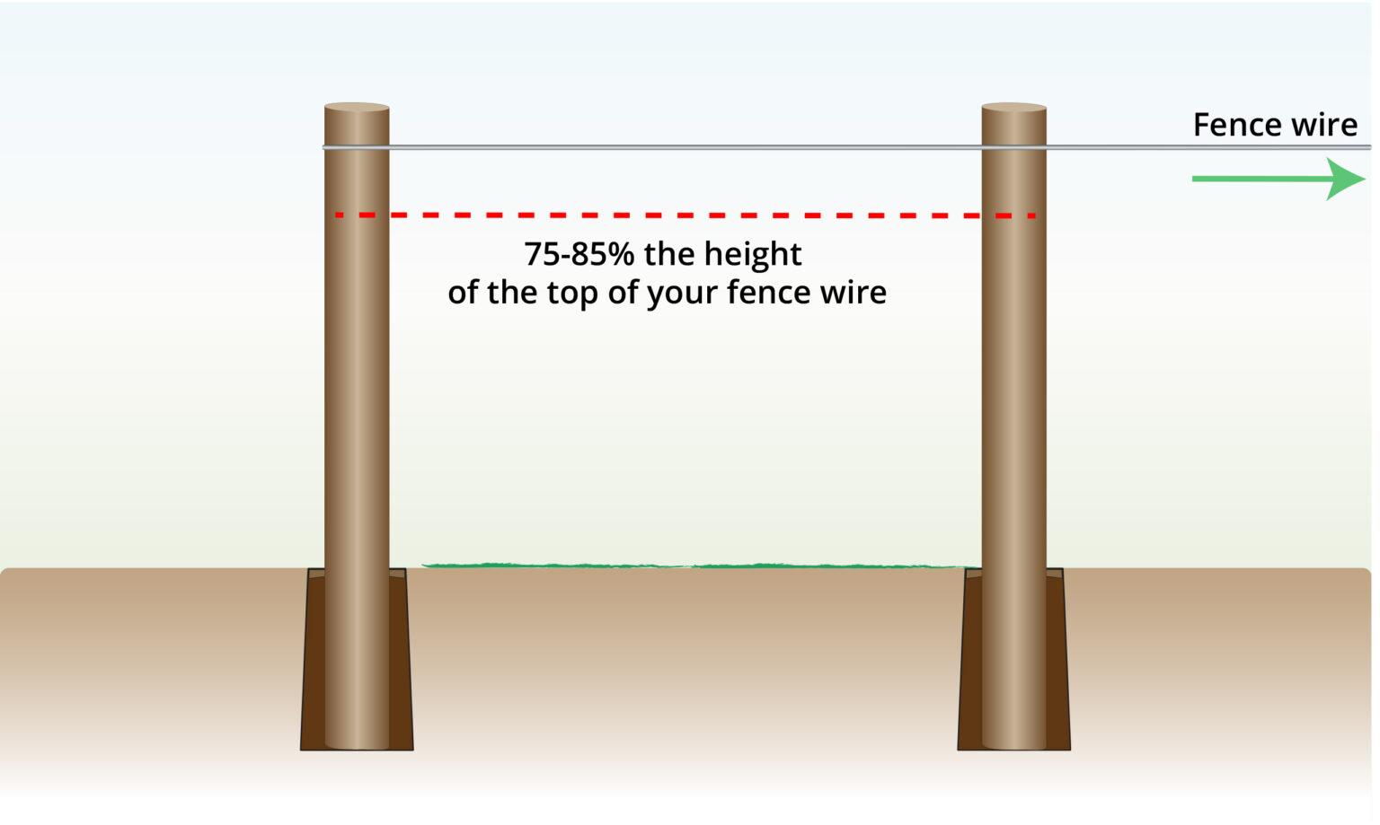 mark-the-brace-pin-location
