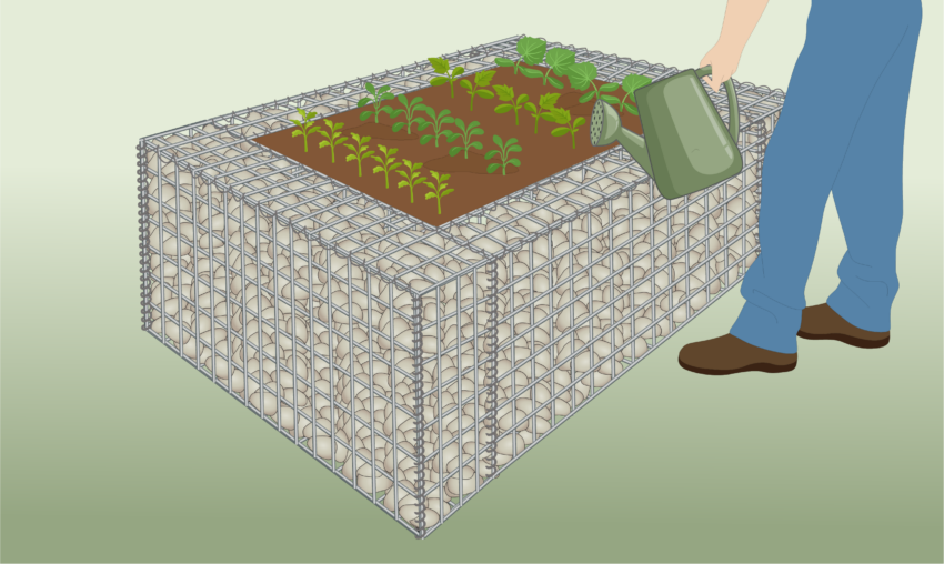 How to Build a Gabion Raised Bed (Step by Step) | Wire Fence