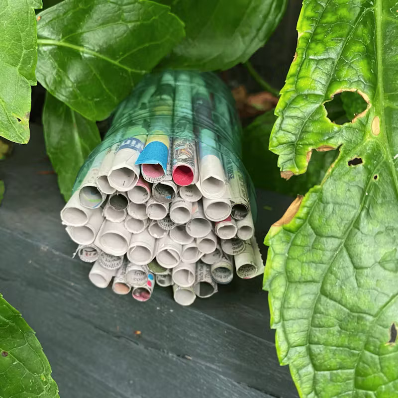 recycled-paper-stripes