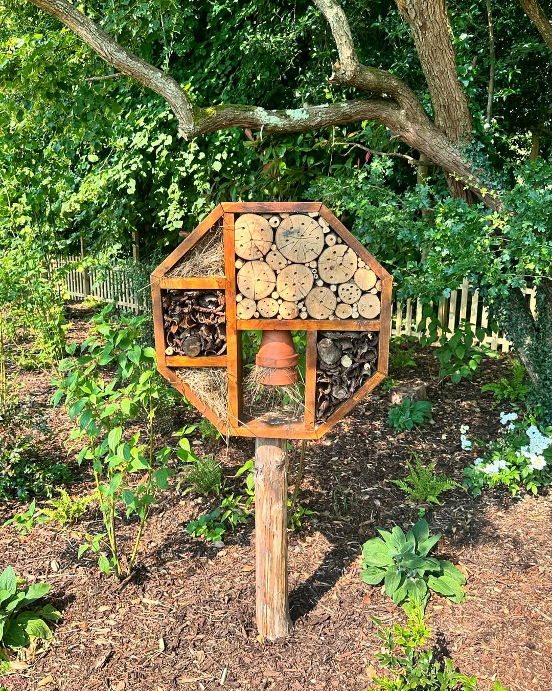 woodland-beds