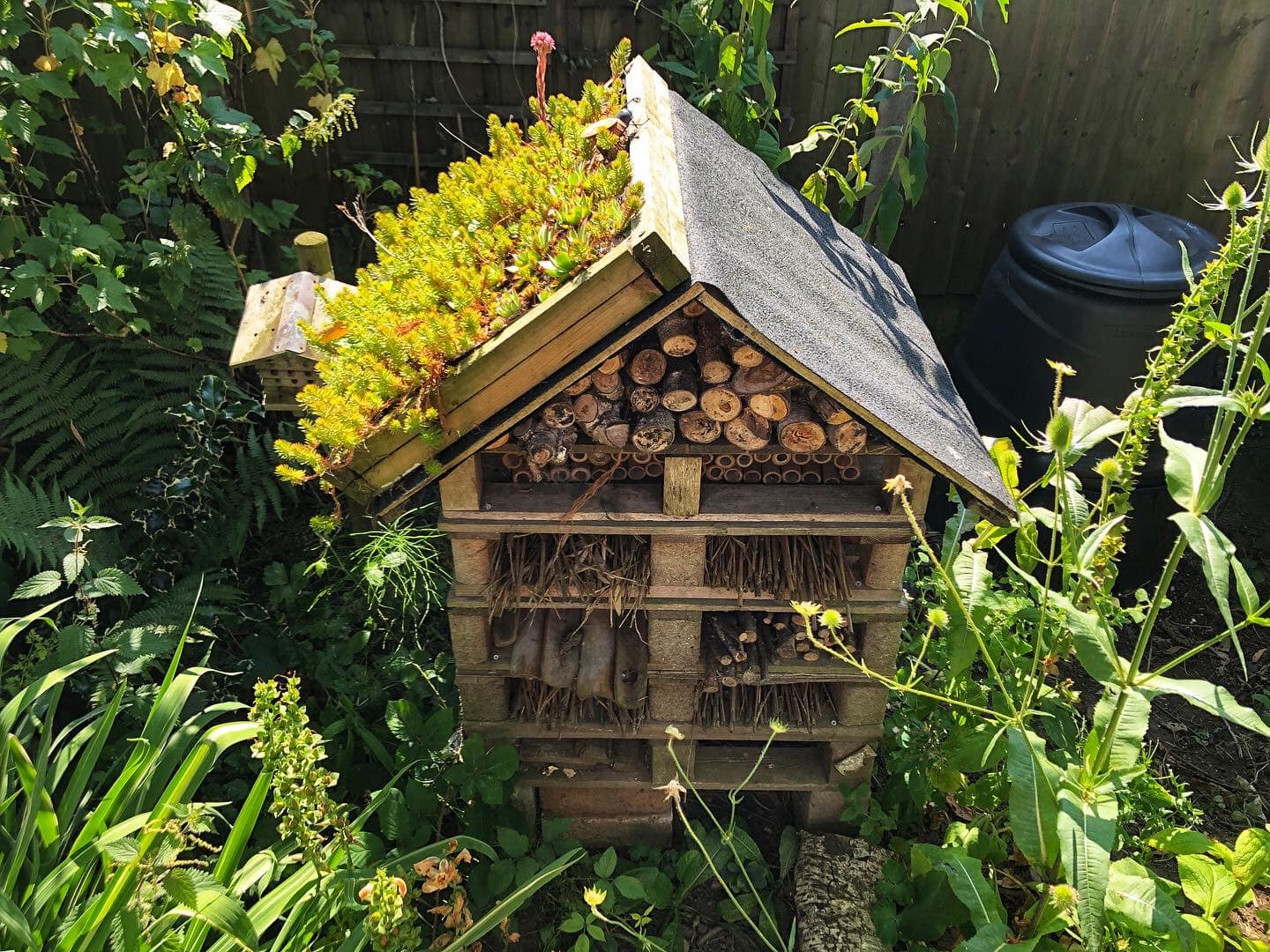 green-roofed-support-for-wildlife