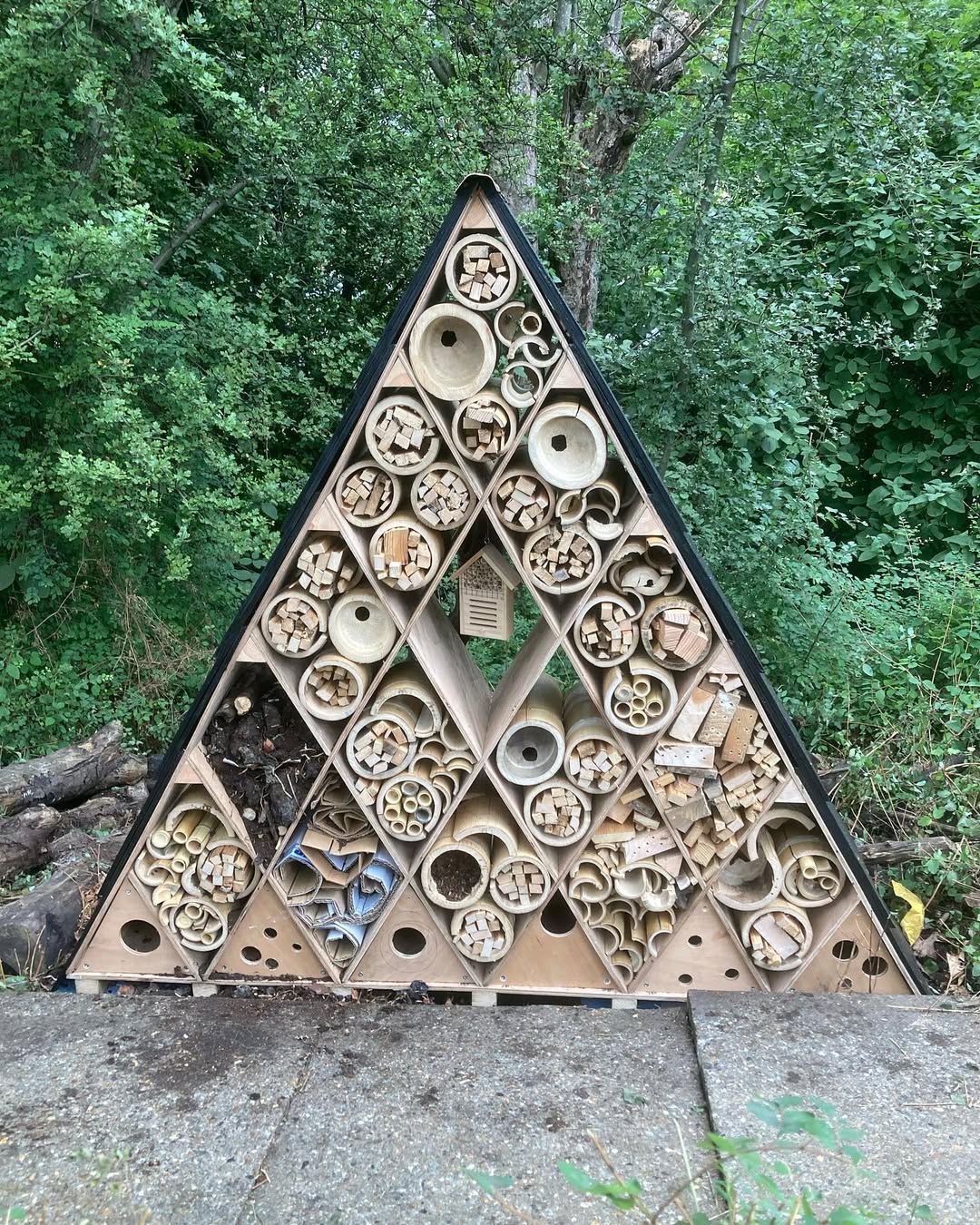 triangle-shaped-bughouse